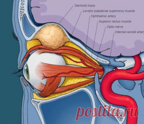 Как за 3-4 месяца улучшить зрение на 2-3 диоптрии. Комплекс упражнений глазной гимнастики БЕЙТСА