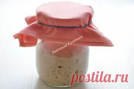 Закваска для хлеба "Вечная"