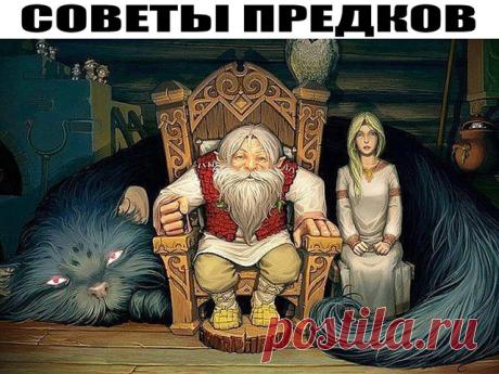 (3) Одноклассники
