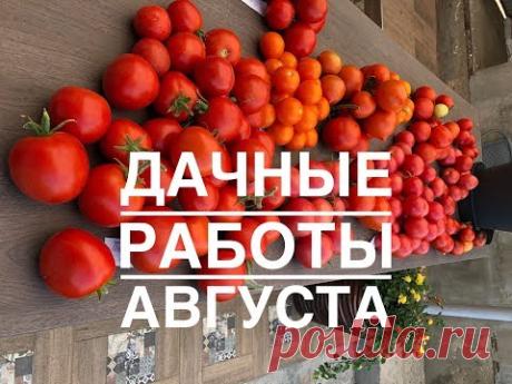Дачные сезоны с Мариной Рыкалиной Работы августа