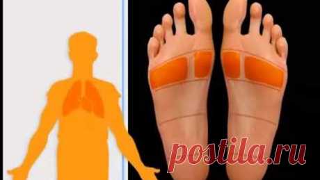 Проекция внутренних органов на стопе