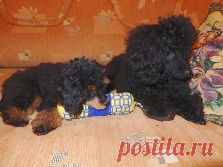 (97) Одноклассники