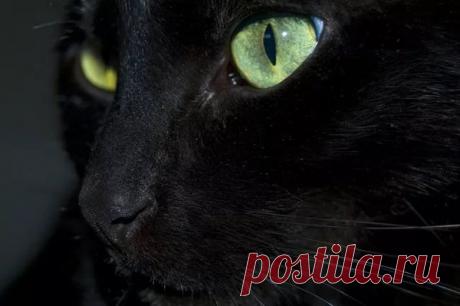 Вяжем удачу, богатство, верность. Приметы рукодельниц. | Медитация с крючком | Яндекс Дзен