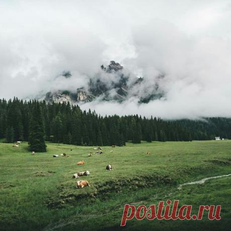 Больцано, #Италия@discoverygroup