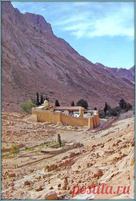 НЕОПАЛИМАЯ КУПИНА