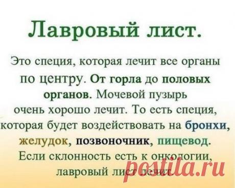 ЛАВРОВЫЙ ЛИСТ В ПОМОЩЬ