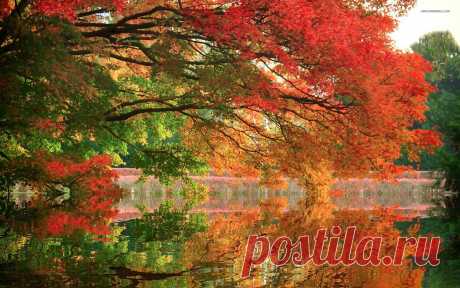 Amazing autumn colors wallpaper - 1173003