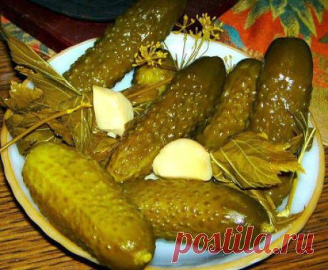 Консервированные огурцы с водкой. Рецепт | Дача своими руками