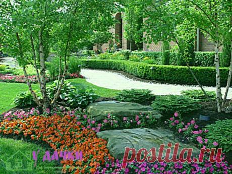 Значение цвета, света и тени в ландшафтном дизайне | У дачки