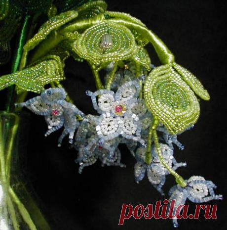 Boa's Botanicals - Fairy Flowers