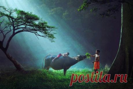 Неверояный фоторепортаж — 30 удивительных фотографий счастливых детей со всего мира — Сияние Жизни