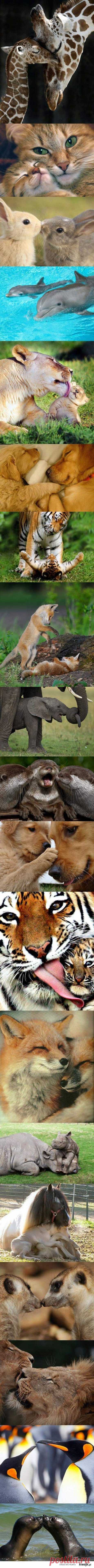 Найдено на сайте kwejk.pl.