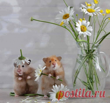 (98) •*Secret Garden *•