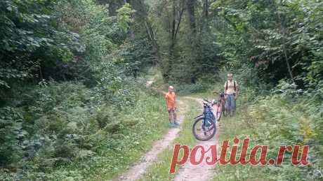 Московская область, красногорский район