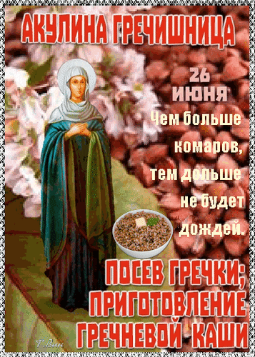 На Акулину гречку щедро насыпай, Всех угощай и стол скорее накрывай. Пусть счастье в дом рекой течет, И радость каждый день приносит этот год! Открытки на Акулина Гречишница!