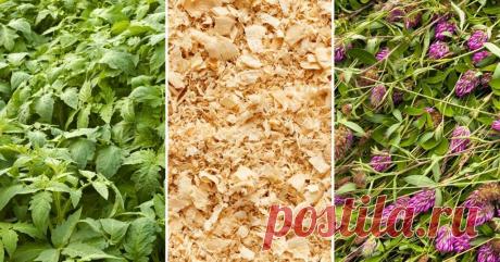 5 проверенных способов, как избавиться от запаха в дачном туалете | Дела огородные (Огород.ru)