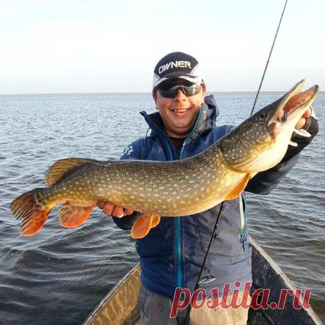 (98) Алексей Шанин - Instagram Photos