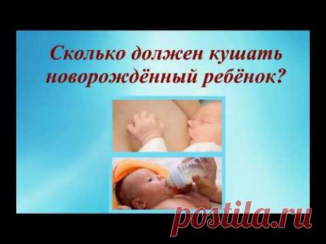 Сколько должен кушать новорожденный ребенок? How much should eat a newborn baby? @ Шилова Наталия.