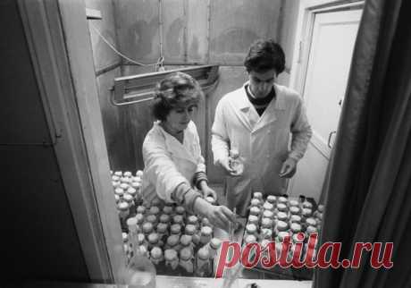 Таинственный круцин: куда исчезла магическая формула лекарства от рака