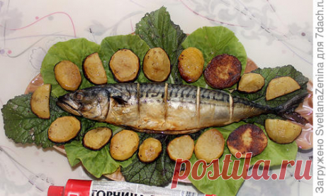 Скумбрия в горчичном маринаде, запеченная с картошечкой