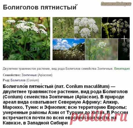 Вся правда о химиотерапии всех видов рака :: социальная сеть родителей