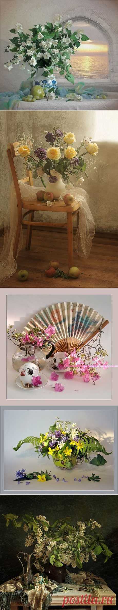 Романтические натюрморты Анны Немирович.