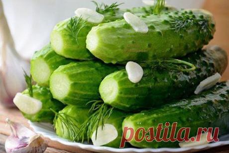 Кухня моё царство. Я там королева! – Альбина Веремеева (Макеенко) добавила фотографию в альбом ОВОЩНЫЕ заготовки на зиму. (рецепт...