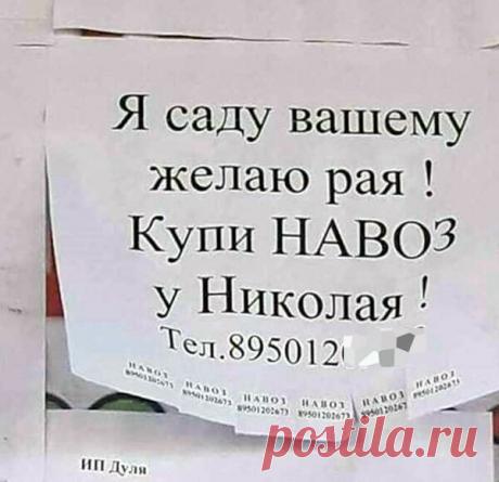 Подборка смешных и очень доходчивых объявлений (24 фото) В наших краях писать объявления - это искусство. Креативные клочки папируса на вертикальных поверхностях нашей родины всегда вызывают смех, даже если