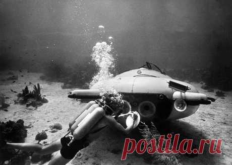 Фотогалерея: "В мире безмолвия" Жака Ива Кусто - Новости Mail.Ru