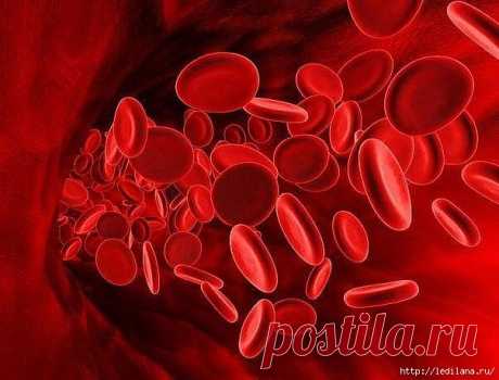 ЧЕМ ОПАСНА ГУСТАЯ КРОВЬ?
