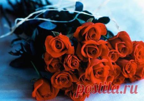 Значит, так... Всем, кто грустит — перестать! Кто болен — не болеть! Всем, кто потерял — найти! У кого проблемы — разгрести! Всем, кто улыбается — продолжать! А кто счастлив — так держать!!!