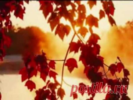 Люди жгут на кострах уходящее лето...