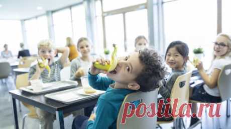 Минимально допустимое время обеда школьников призвали увеличить до 30 минут. Депутат Госдумы Василий Власов предложил увеличить время перемены, предусмотренной для организации обеда школьников. Копия обращения на имя министра просвещения России Сергея Кравцова имеется в распоряжении RT. Читать далее