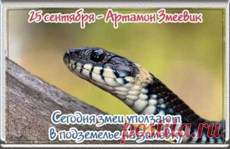 Народное название праздника — Змеевик — напрямую связано с главным поверьем этого дня. Открытки на День Памяти Артамона Змеевика!