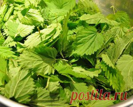 Вы узнаете, как можно приготовить народные результативные и безопасные средства для возвращения локонам здорового вида и укрепления их структуры в домашних условиях.