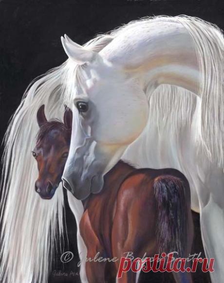 (811) Pinterest
