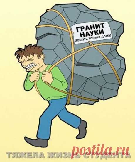 "Корм" для мозга! (То ли быль, а то ли нЕбыль...) | ЖЕНСКИЙ МИР