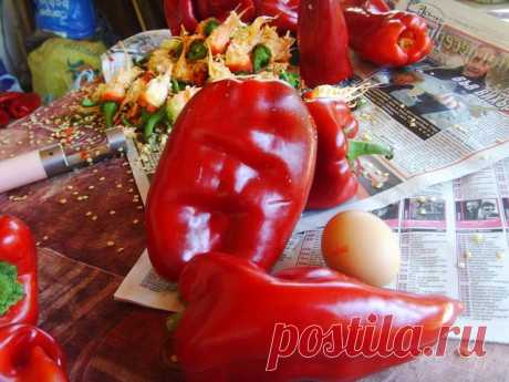 Сухие перцы (заготовка к готовке) – пошаговый рецепт с фотографиями