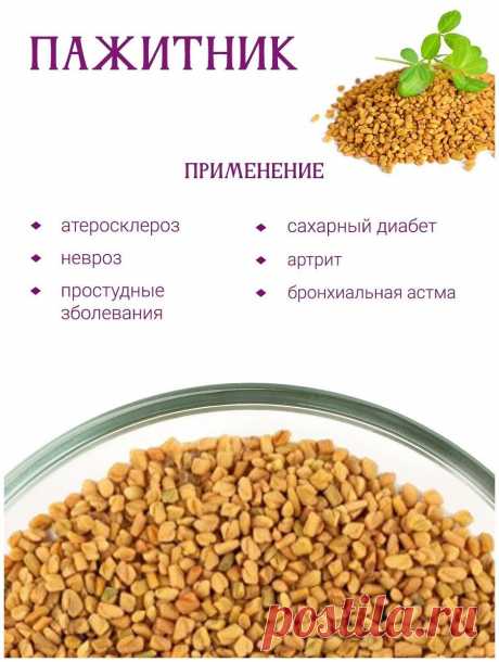 Пажитник лечит