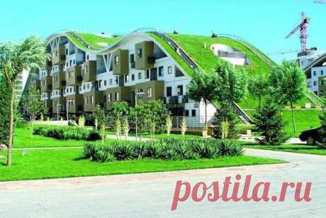 ОБЩЕСТВЕННАЯ ЭКОЛОГИЧЕСКАЯ ЭКСПЕРТИЗА: теория и практика | Экология как бизнесс Экология как бизнесс