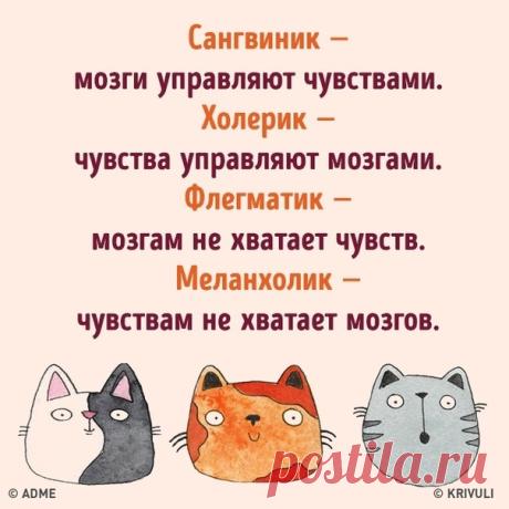 30 открыток о том, как все есть на самом деле: bit.ly/2QLD6w9