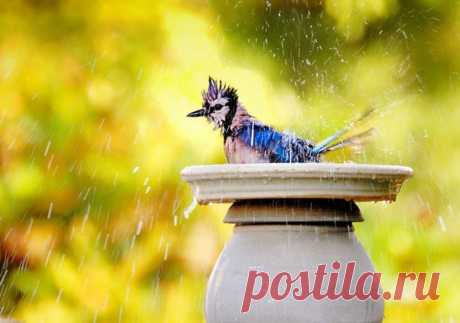 фото Rasa Gudelyte. Facebook