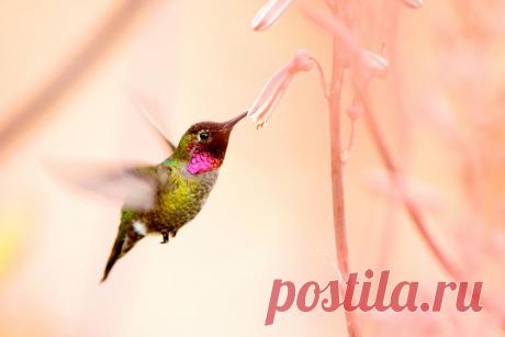 Картинки, прикольные картинки, картинки с приколами, фотоподборки.