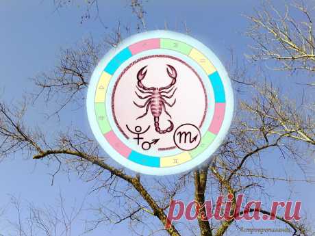 Сделайте рывок. Гороскоп для Скорпиона с 1 по 28 марта 2021 | Астропропаганда | Яндекс Дзен
♏✨ Автор: астролог Нина Стрелкова. ✧ В этот период очень многое зависит от вас самих, вашей самооценки, ваших притязаний, вашего желания или нежелания быть на виду. Период способствует всем видам творчества, спорту, саморазвитию и демонстрации своих талантов. Проблемы могут возникнуть при переоценке своих способностей и возможностей. Но не всегда при неудаче нужно сдаваться и отступать...
