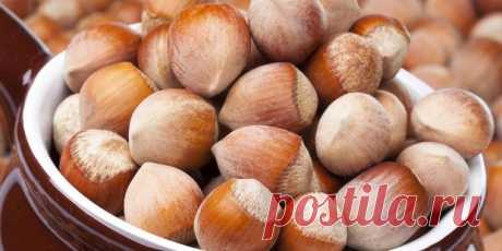 Лесной орех - фундук | Newpix.ru - позитивный интернет-журнал