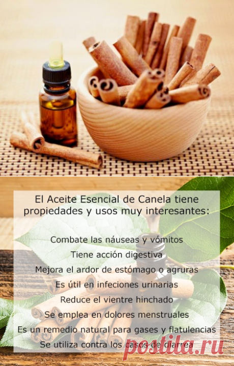 Cómo se hace el Aceite Esencial de Canela