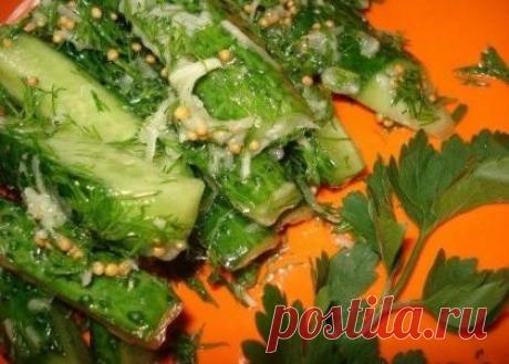 Рецепты "на бис". 9 суперских рецептов огурцов