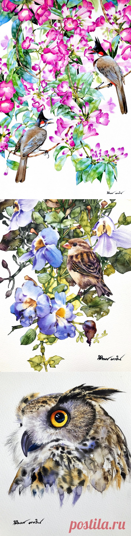 Райские птицы, как райский цветок... Художник - акварелист Kitipong Maksin (Bangkok-Thailand ).