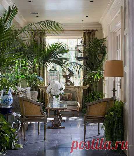 Комнатные растения в интерьере