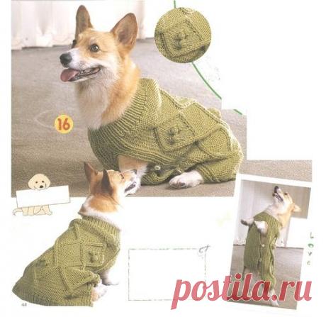 Вяжем для любимцев ... модели из Японии